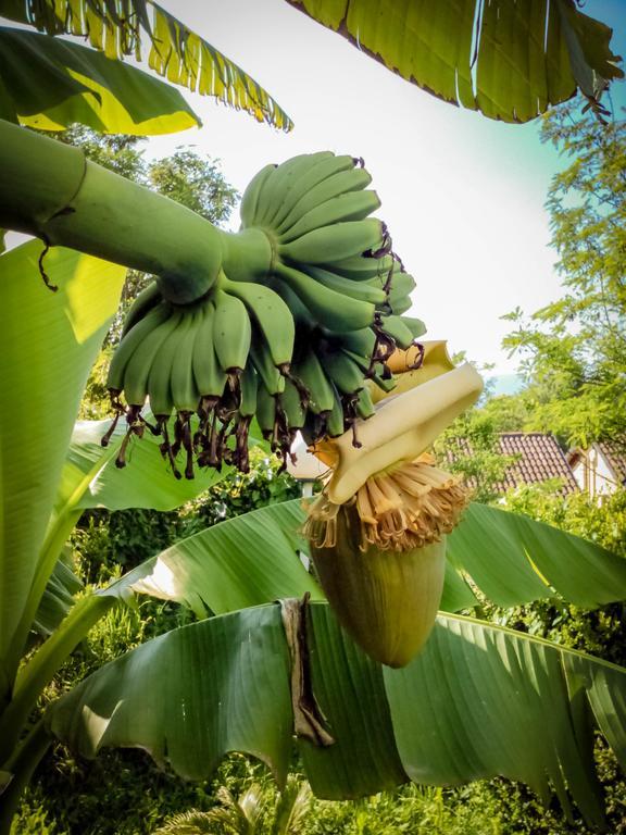 Il Giardino Delle Farfalle Valgioie Exteriör bild