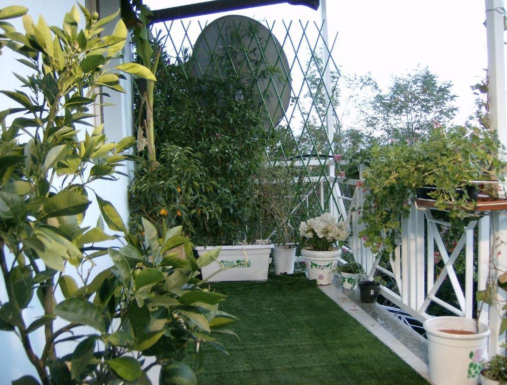 Il Giardino Delle Farfalle Valgioie Exteriör bild